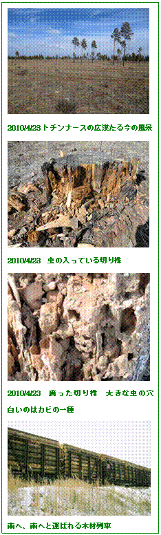 �e�L�X�g �{�b�N�X:  
2010/4/23�g�`���i�[�X�̍L�����鍡�̕��i
 
2010/4/23�@���̓����Ă���؂芔
 
2010/4/23�@�������؂芔�@�傫�Ȓ��̌��@�����̂̓J�r�̈��
 
��ցA��ւƉ^�΂��؍ޗ��

