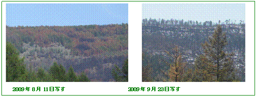 �e�L�X�g �{�b�N�X:  �@�@ �@
2009�N8��11���ʂ��@�@�@�@�@�@�@�@�@�@�@�@2009�N9��23���ʂ�
