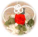 �n�[�g�N���E��