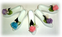 �V���f�����C���̃q�[���A�����W�����g