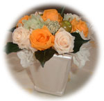 ���^�A�b�v�̃A�����W�����g